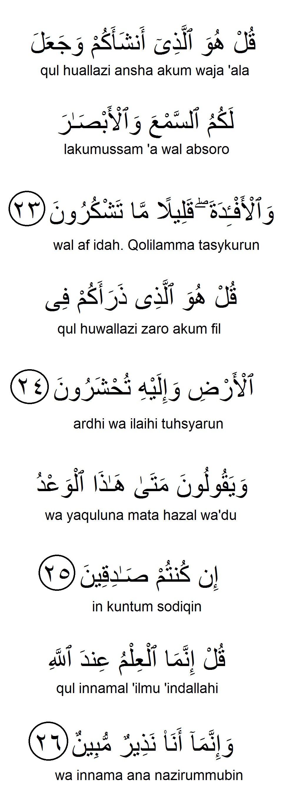 Surah Al Mulk Panduan Rumi Terjemahan Aku Muslim