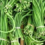 cara tanam kacang panjang