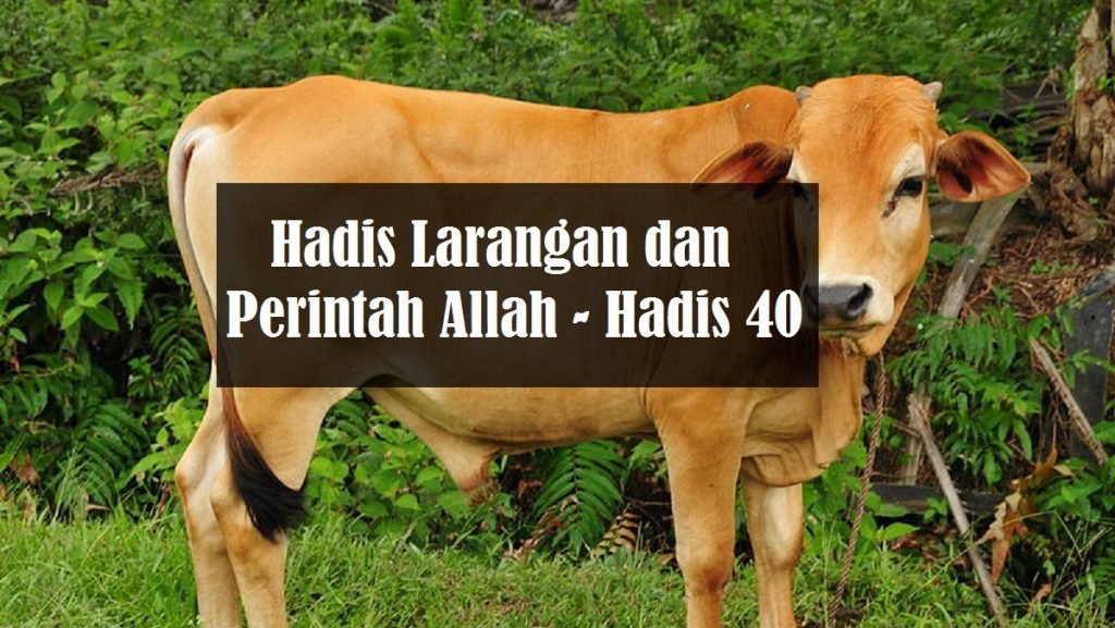 hadis larangan dan perintah allah