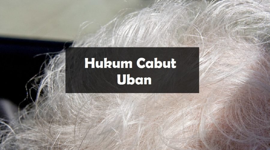 hukum cabut uban