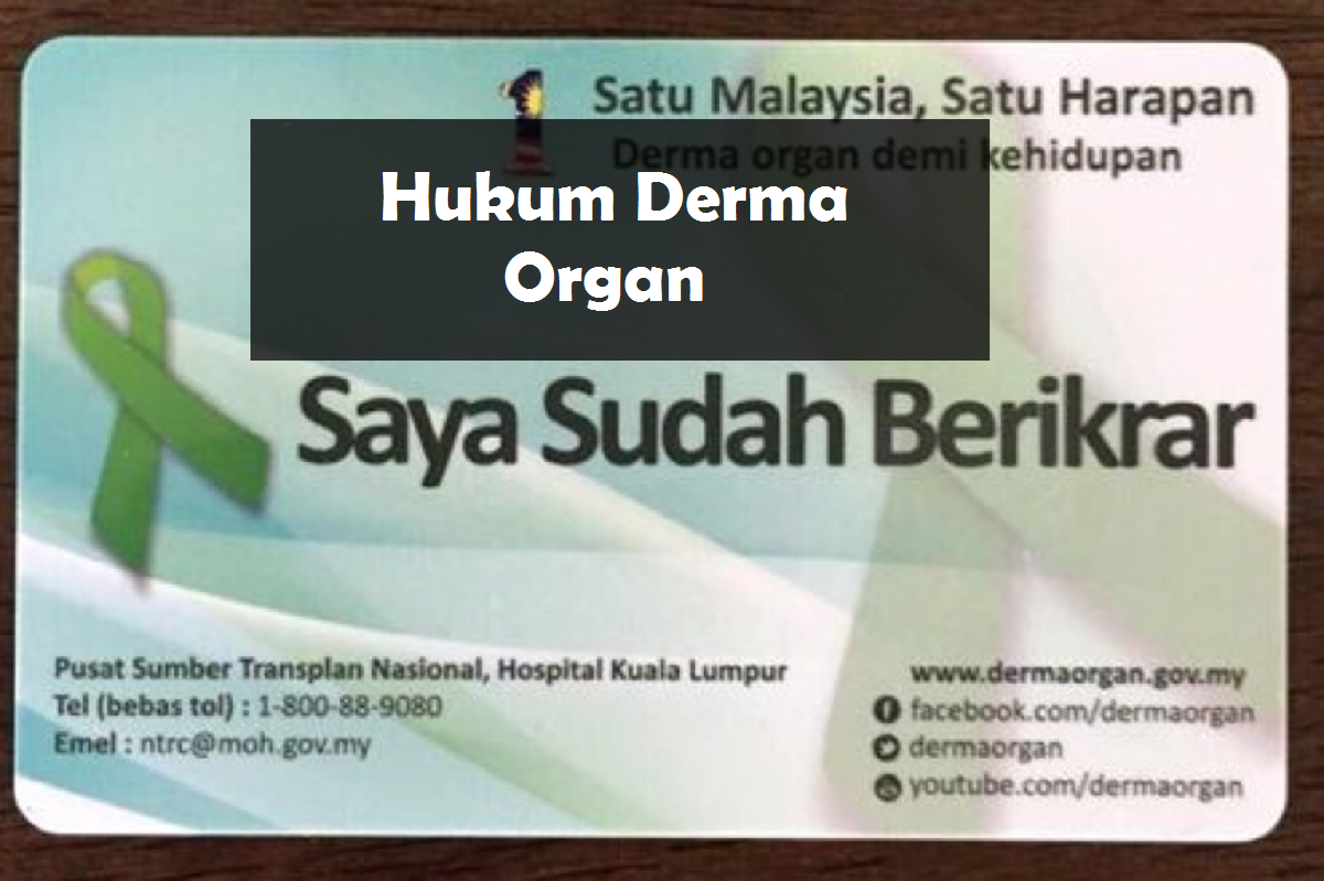 Derma organ