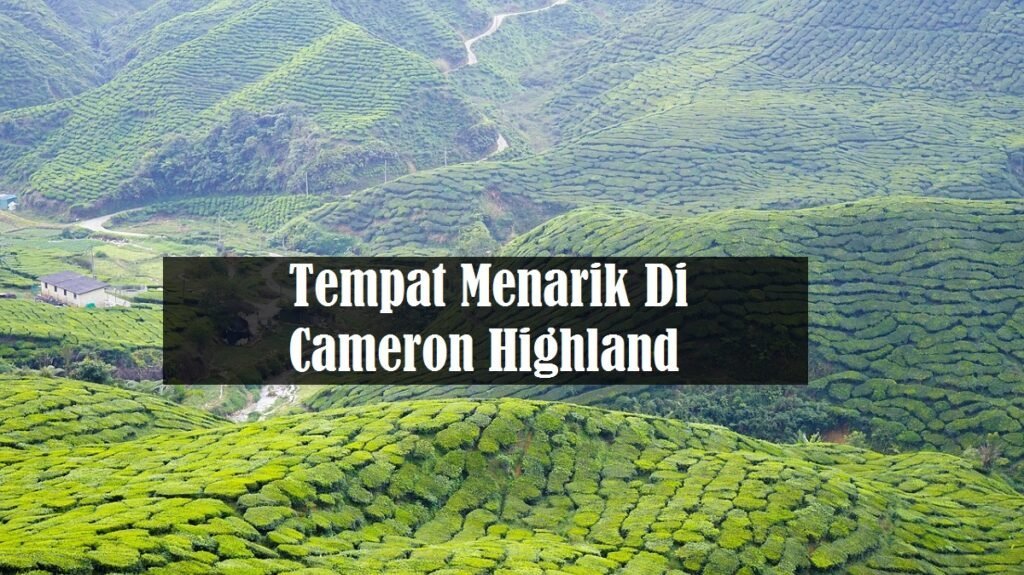 tempat menarik di cameron highland