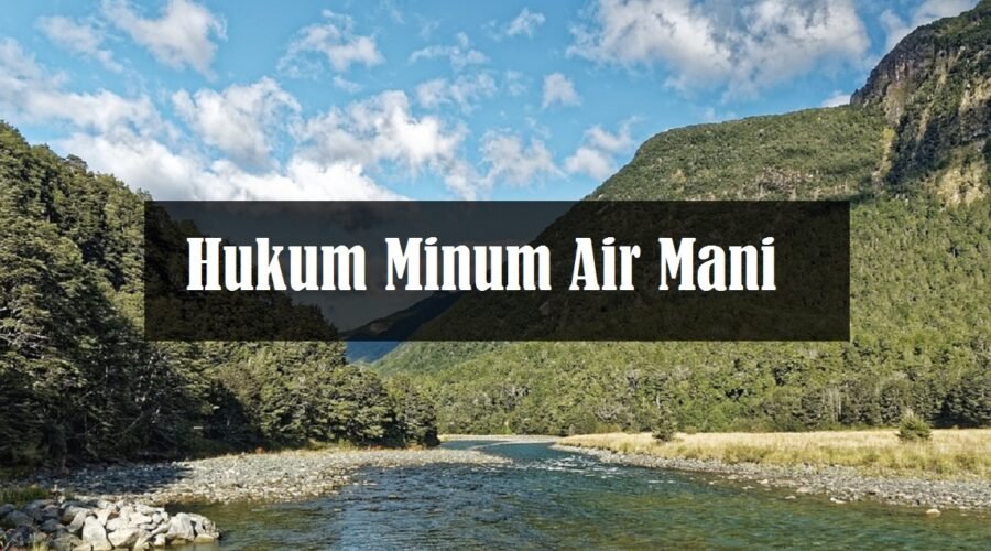 hukum minum air mani