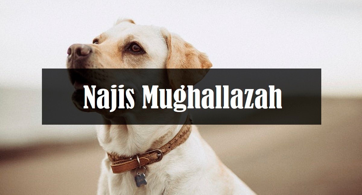 Najis Mughallazah: Maksud dan Cara Menyucikannya